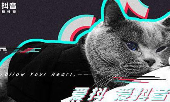 如何利用工具提高抖音的運(yùn)營